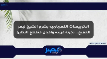 الأتوبيسات الكهربائية بشرم الشيخ تبهر الجميع.. تجربة فريدة وإقبال منقطع النظير!
